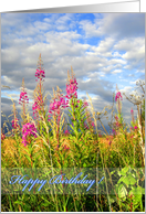 Wild, pink flowers...