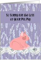 Sympathy for Pet Pig