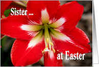Easter Greetings for...