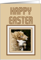 Happy Easter Lamb...