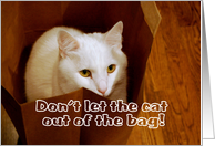 Cat in Bag Surprise...