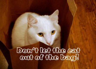 Cat in Bag Surprise...
