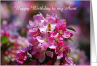 Happy Birthday Aunt...