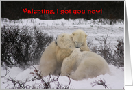 Polar Valentine bear...
