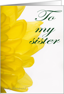 Happy Sister's Day ...