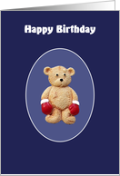Boxer Teddy Bear