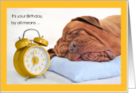 Funny Birthday Dogue...