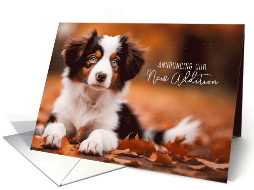 New Puppy Announcement Australian Shepherd Puppy Dog card (421754)