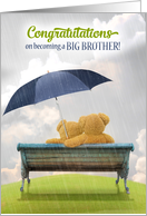 Congratulations on Becoming a Big Brother Teddy Bears card