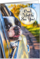 Can’t Wait to See You Dog in a Car Window card