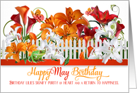 May Birthday Lily Garden with Butterflies and a Frog card