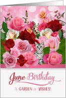 June Birthday Rose...