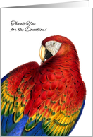 Donor Thank You Business Rainbow Macaw Parrot Blank card
