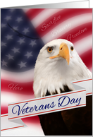 Veteran's Day Eagle...
