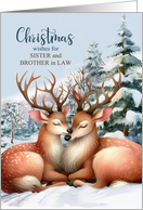 for Sister and Brother in Law on Christmas Romantic Reindeer card