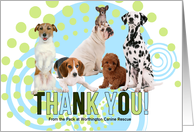 Donor Thank You with Custom Text and a Cute Pack of Dogs card