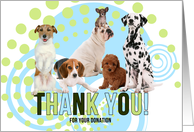 Donor Thank You Funny Pack of Dogs Modern in Green and Blue card