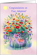 Adoption Congrats,...