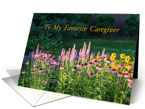 Favorite Caregiver, Special Needs Child, Thank You! card (664495)