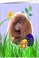 Easter Card...
