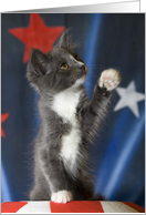 Celebrate Left Handers Day with this Southpaw Kitten card