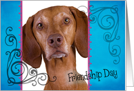 Friendship Day card...