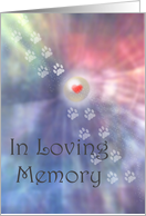 Loving Memory of Dog...