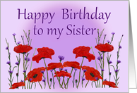 Birthday for Sister,...