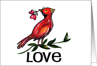 Love bird