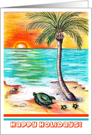Turtles & Beach...