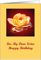 Sister Birthday