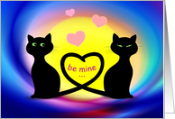 Cats In Love...