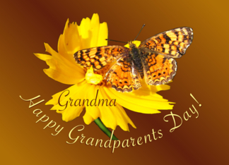 Grandma Happy...