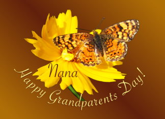 Nana Happy...