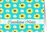 Wedding Cancellation Daisies on Turquoise card