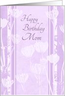 Happy Birthday Mom...