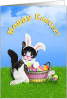 Hoppy Easter Kitten...