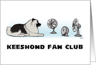 Keeshond Fan Club...
