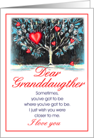 dear granddaughter