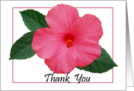 Hibiscus- Thank you