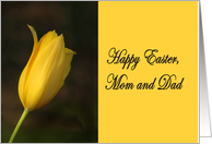 Happy Easter Mom and...