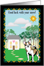 Good Luck on move, chihuahua theme, new home card