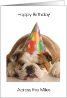 Dog Happy Birthday Across the Miles card