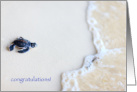 Congratulations for new baby, turtle theme card