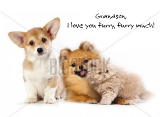Love to Grandson,...