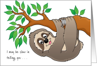 Sloth love & romance