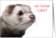 Ferret Birthday Card