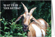 Birthdays To Ex,...