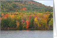 The Fall Foliage of...