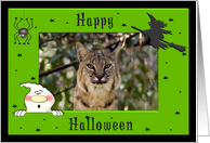 Halloween Bobcat